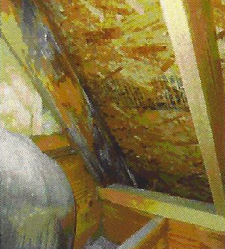 Interior damage requiring remediation