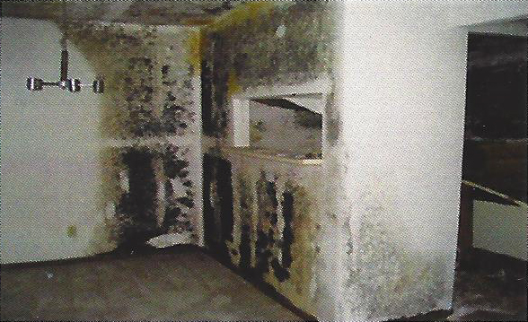 Mold growth in an interior room