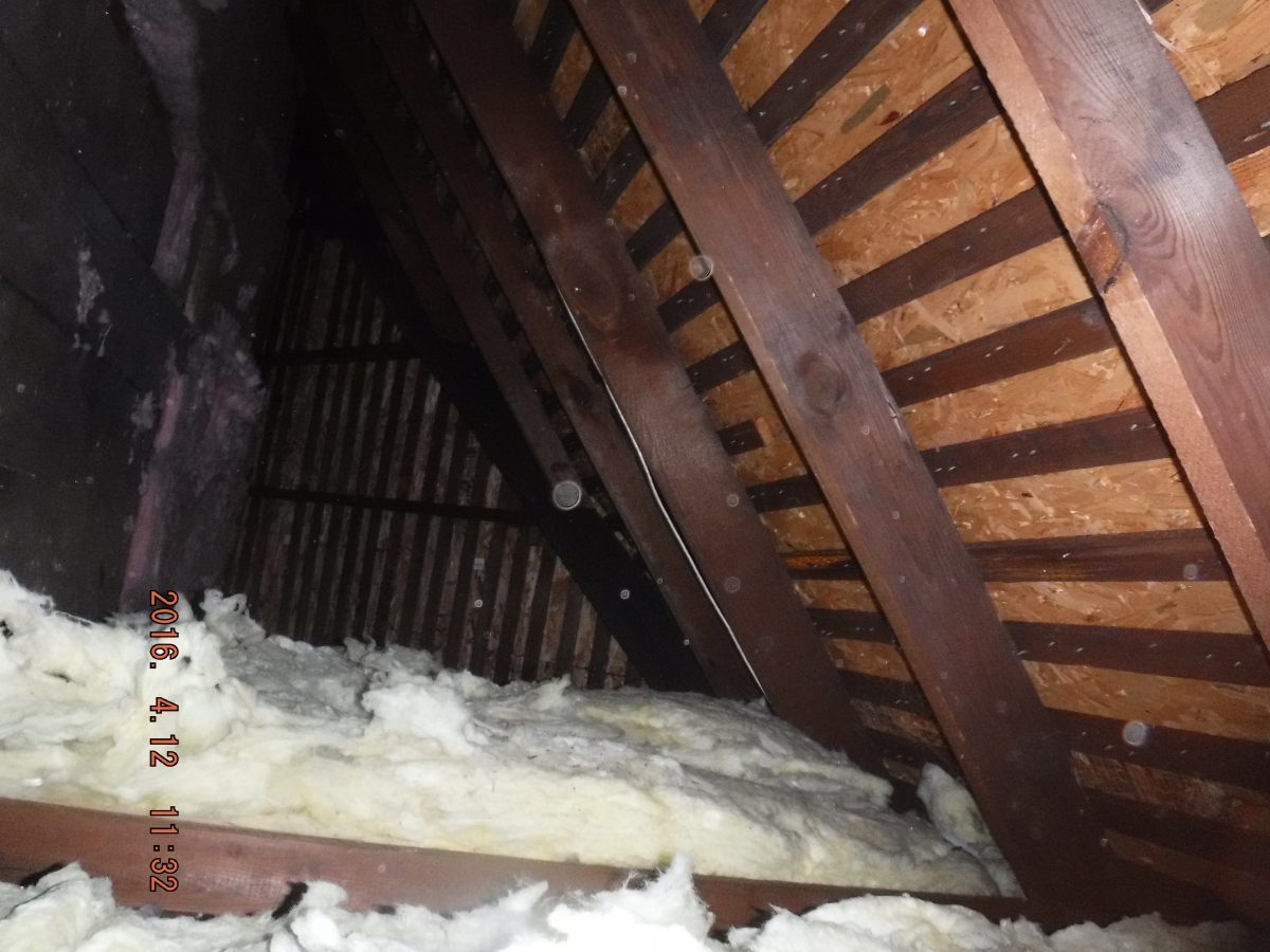 Asbestos Removal