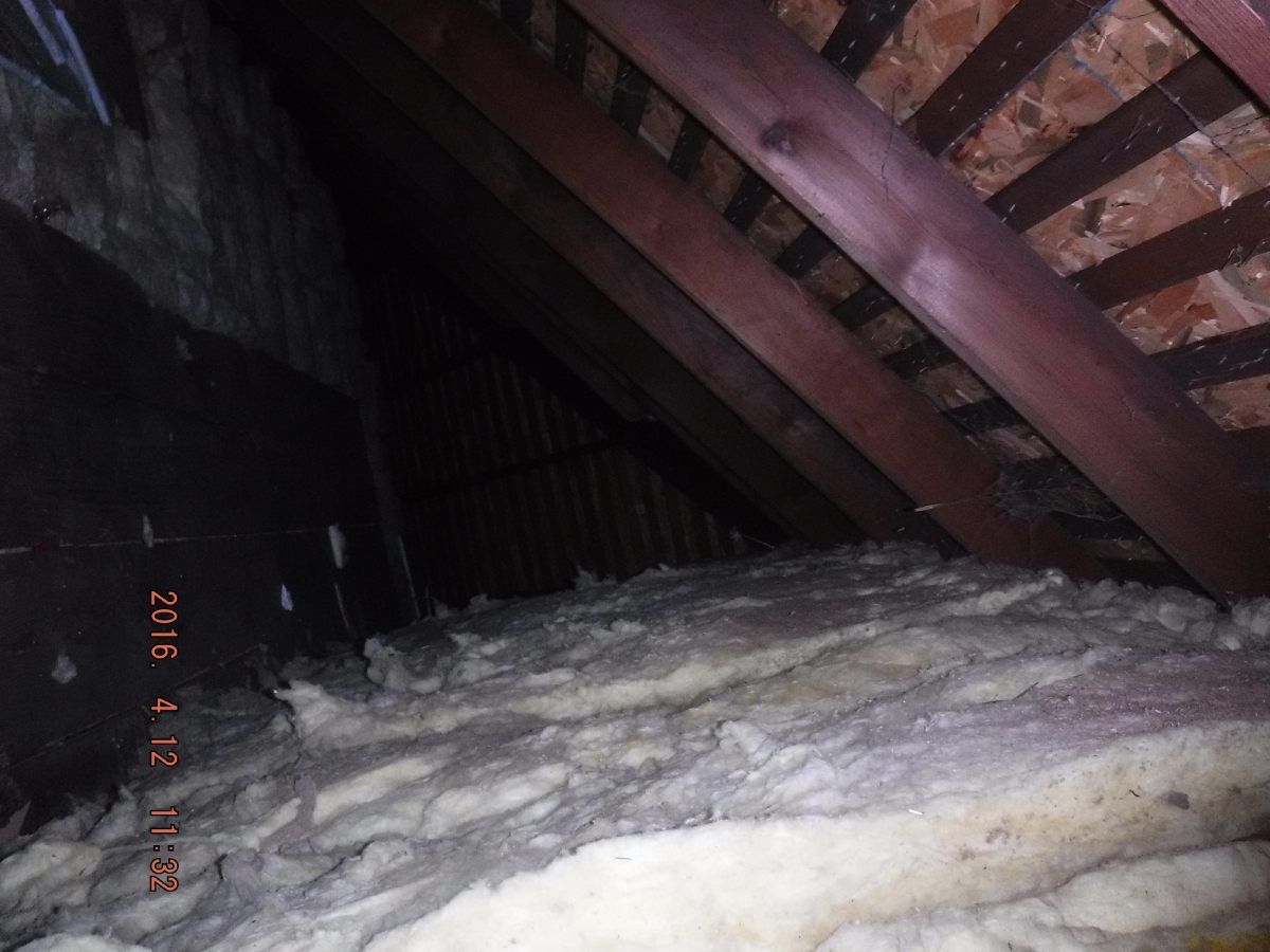 Asbestos Removal