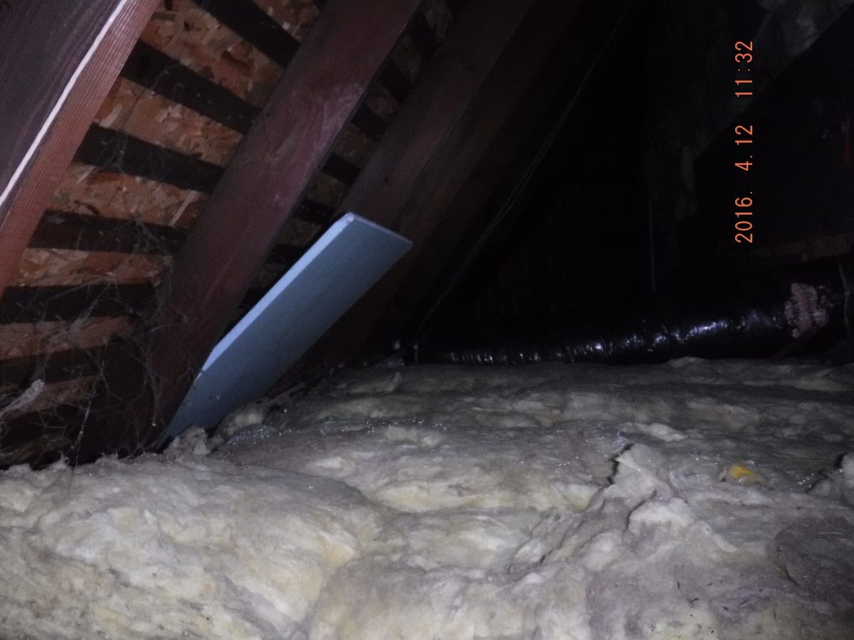 Asbestos Removal