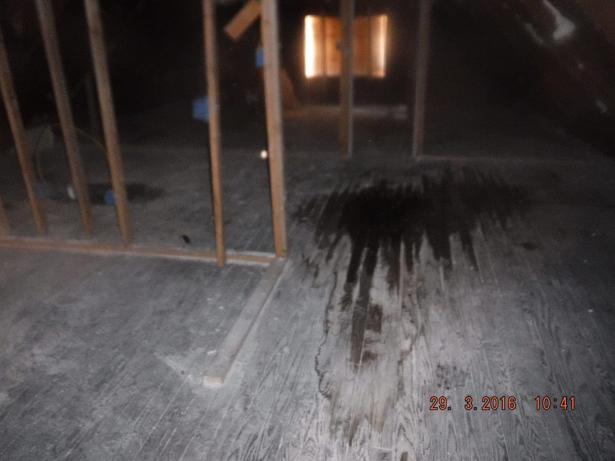 Black Mold Removal