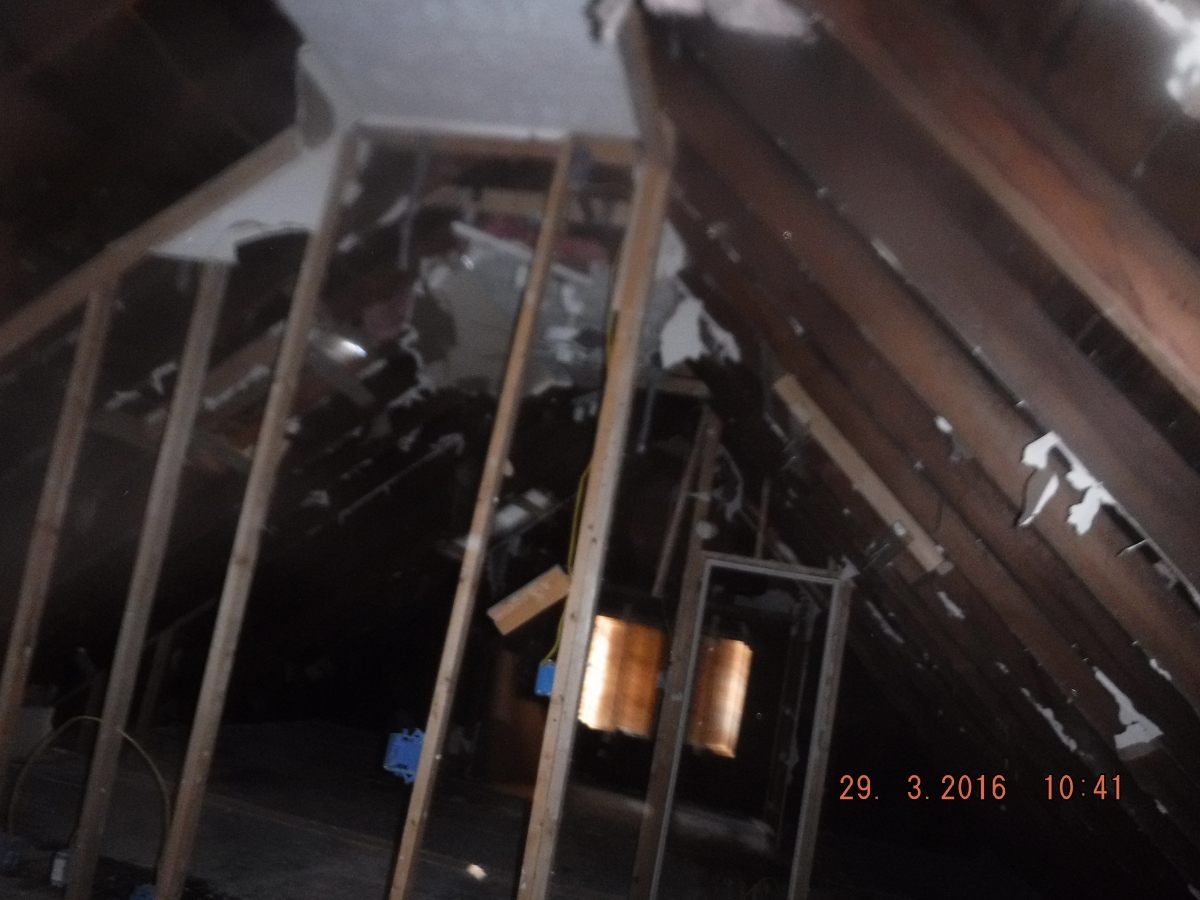 Black Mold Removal