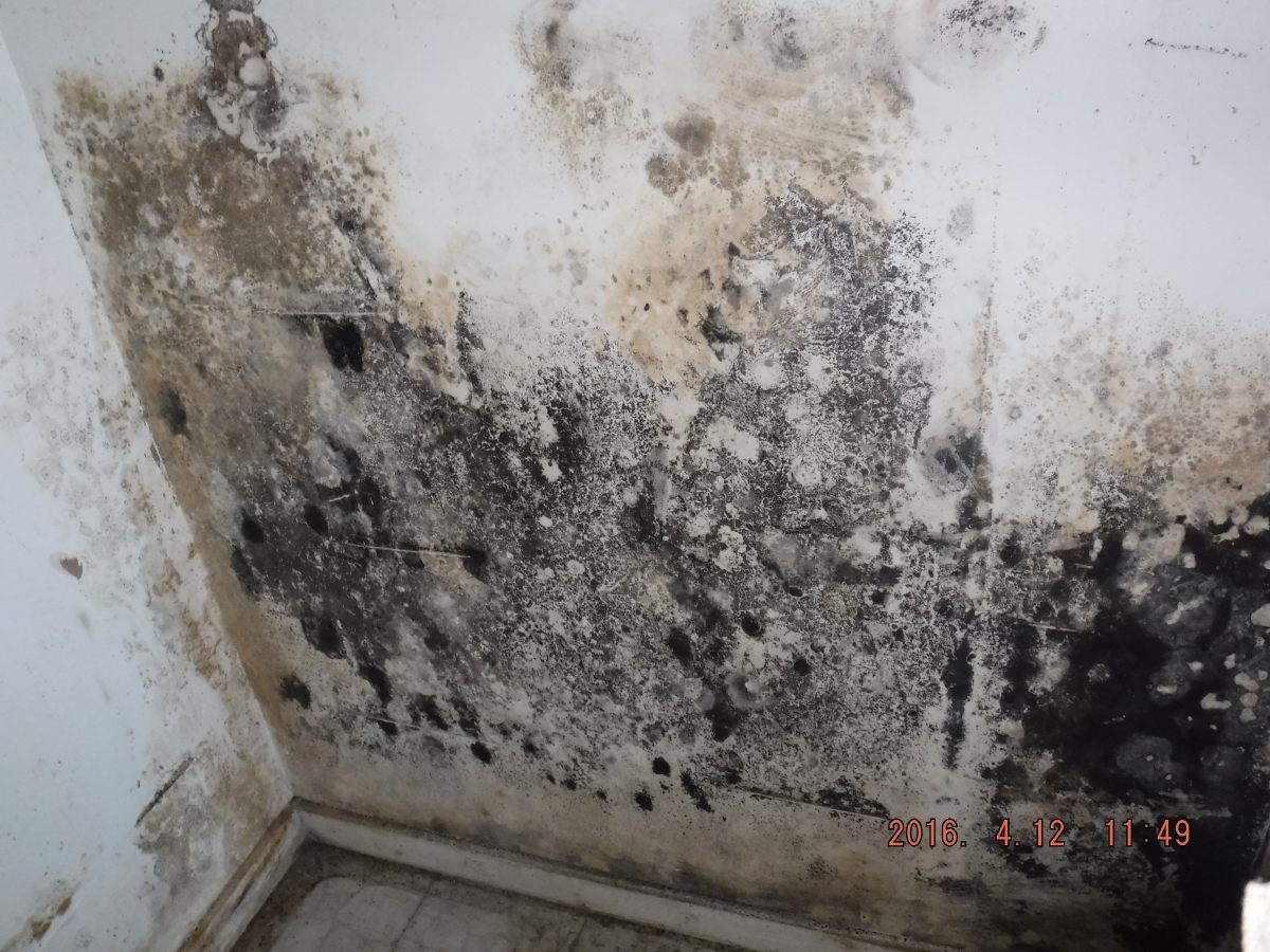 Close-up remediation photo