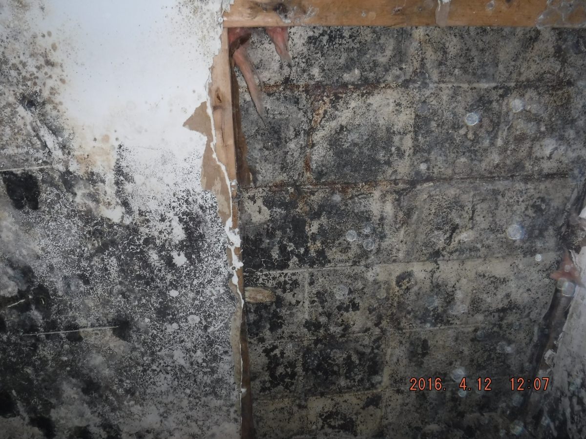 Interior restoration follow-up photo
