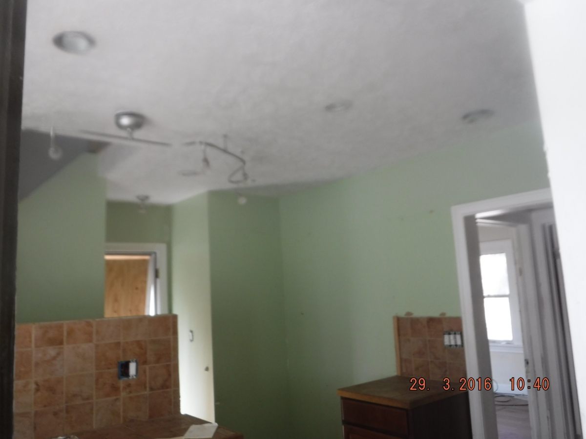 Mold Remediation